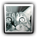 Avatar de Bartavelle